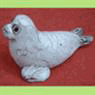A31 Seal Baby.gif