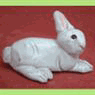 A29 Rabbit resting.gif